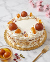 Gulab Jamun Cake